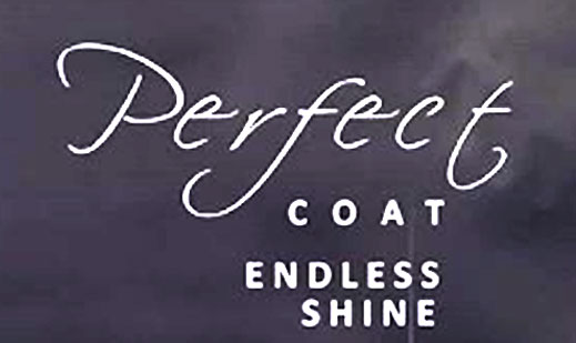 http://https://instagram.com/perfectcoat.id?igshid=oe4qn4